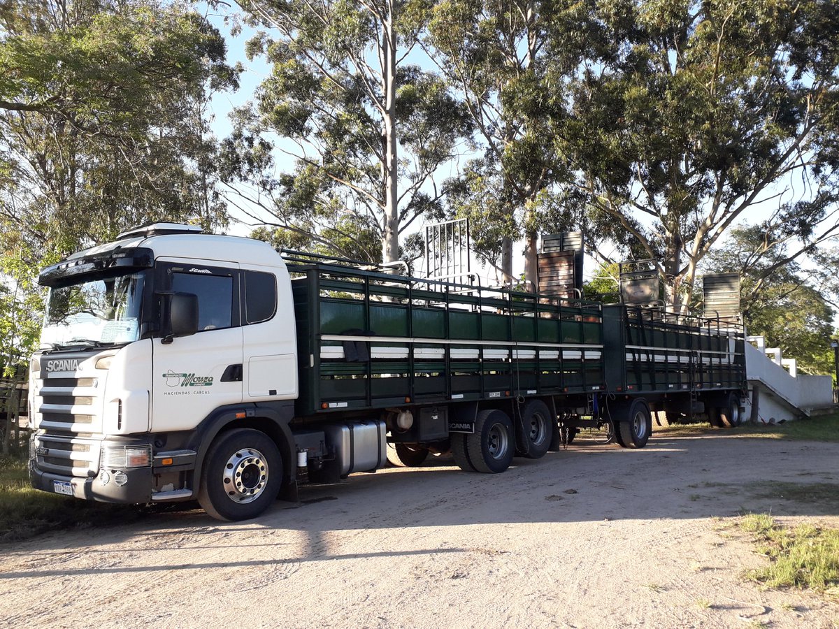 Otro año mas
100 % de venta de los toros y vientres Del Modelo y Los Leones en la <a href="/SocRuralDurazno/">Sociedad Rural de Durazno</a>
🐂🐃🔝🔝🔝
<a href="/juanveratis/">Juan Jose Vera</a> @RodrigoFerAbe
Marchando para los nuevos campos