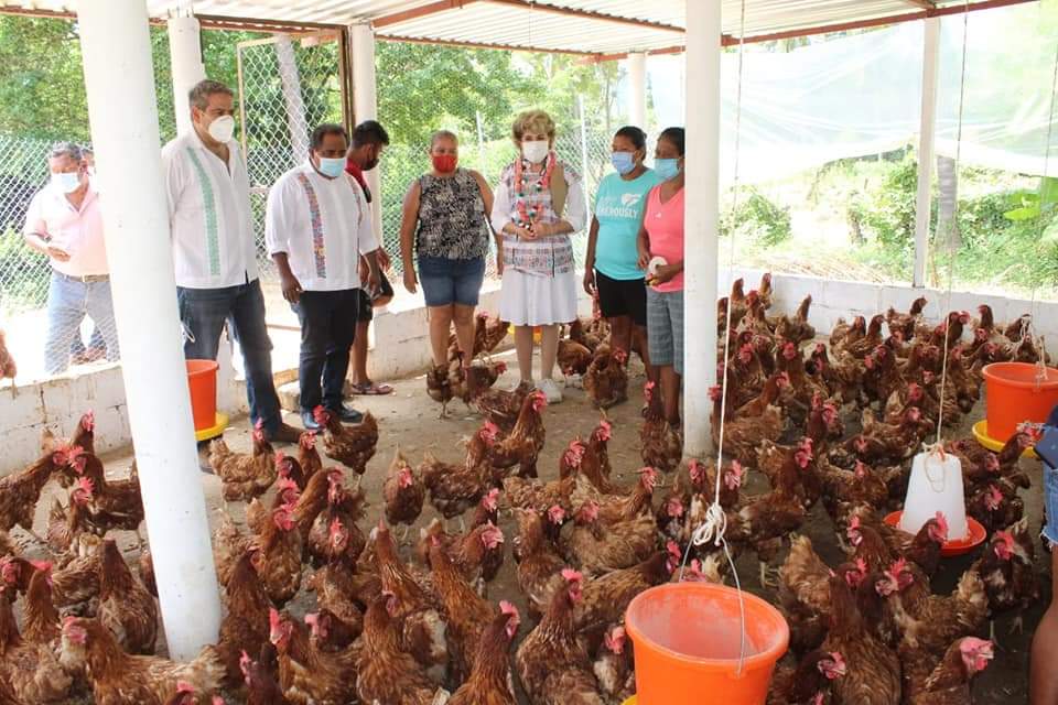 Mercedes Calvo tweet media