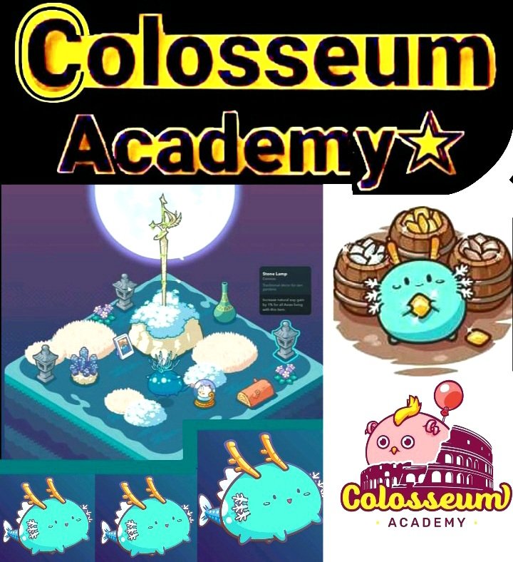 Joenefer | Colosseum Academy tweet media
