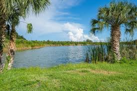 Curtis Louis tweet media