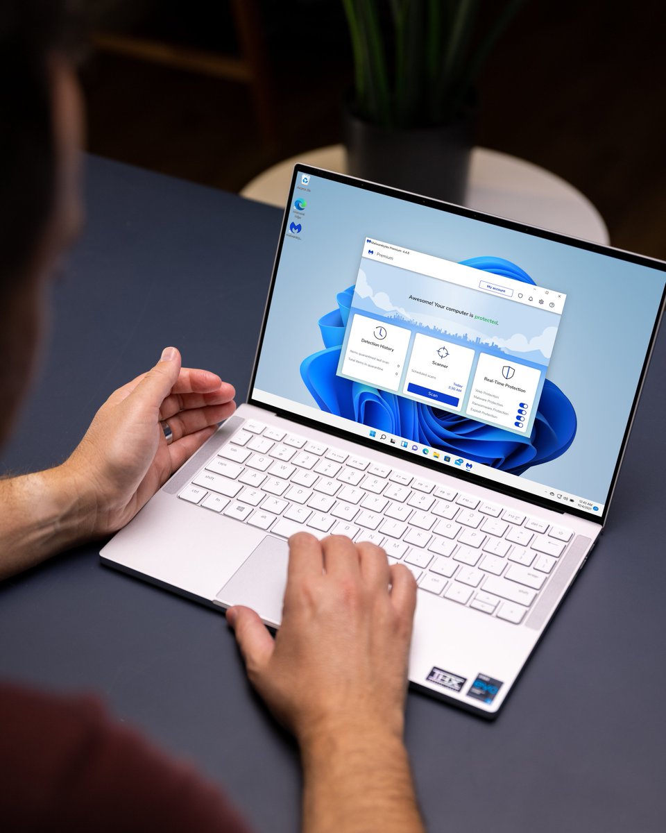 Jon4Lakers's tweet image. Upgrading to Windows 11 this week? Good news, @Malwarebytes will work as expected on Windows 11, making the OS upgrade a little simpler and safer! If you&apos;re not running Malwarebytes yet (you should), get 20% off: bit.ly/39YzEZK
#sponsored