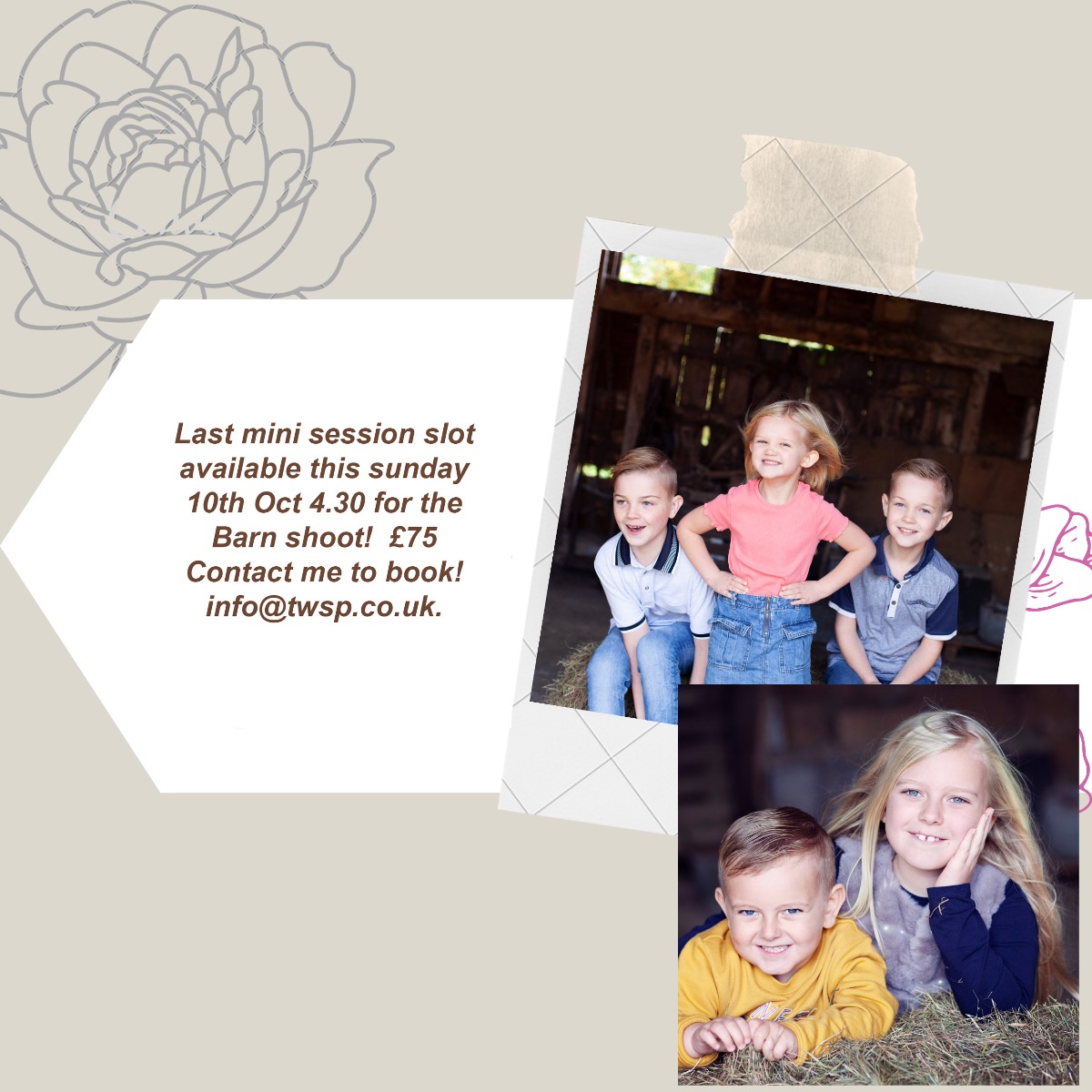 Tracy Williams tweet media