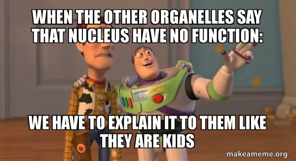 Nucleusforlife's tweet photo. Best Organelle Ever! #votefornucleusandnucleolus #organellewars https://t.co/GEnUdzAvhH
