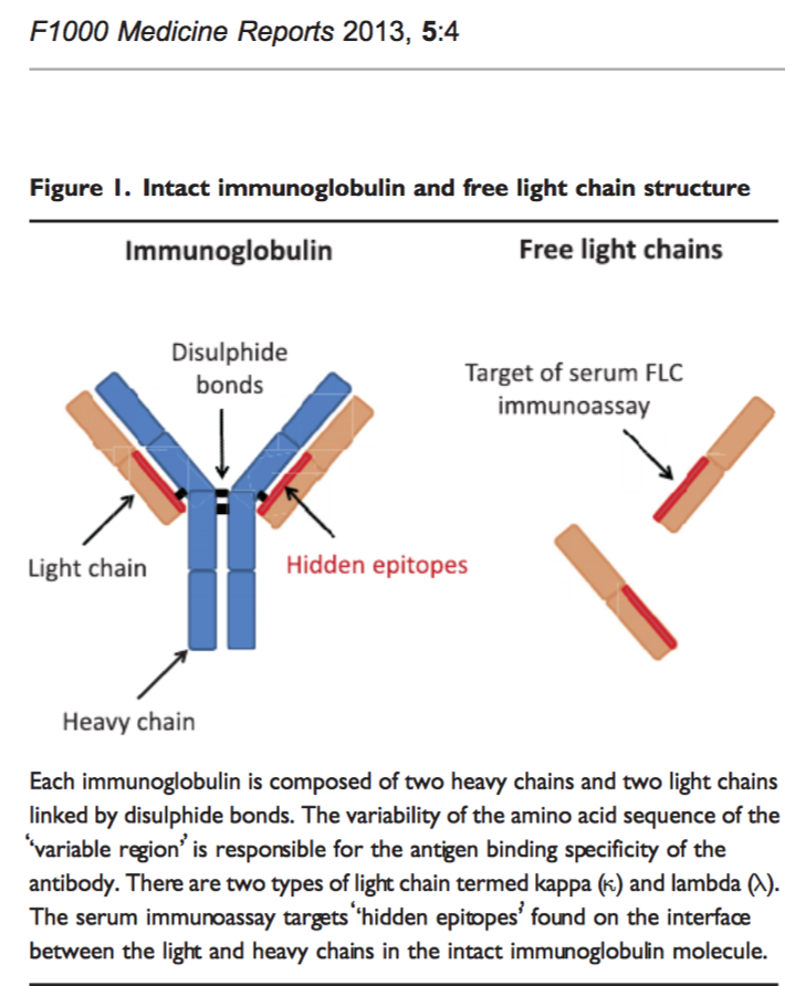 terrorist Ligner Cater Manni Mohyuddin on Twitter: "There were some simplifications here in this  thread, but will be helpful for fellows interpreting these values, and for  non-hematologists who place these consults! Thanks for reading, and