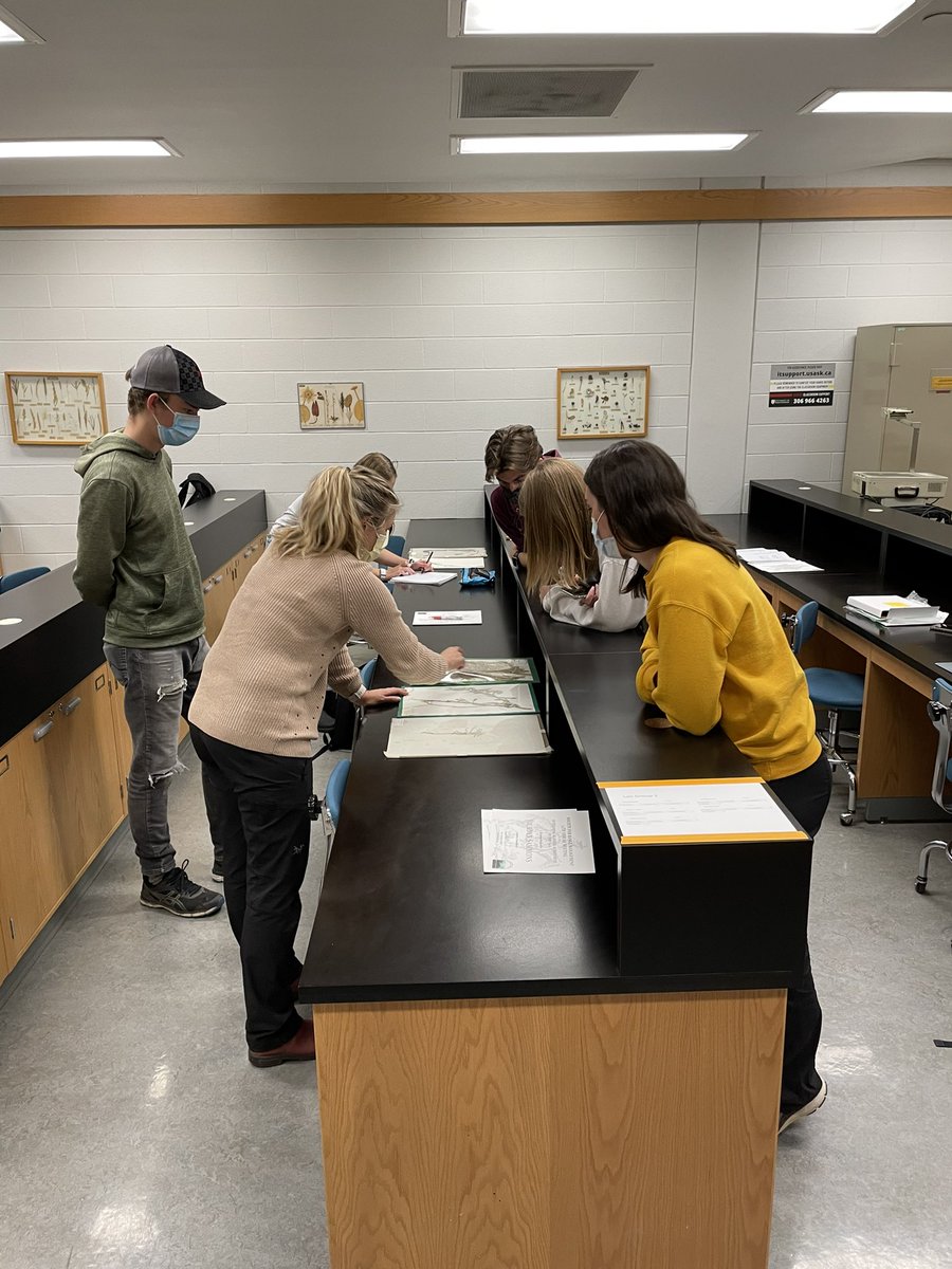 UofS_RangeTeam's tweet photo. Tonight we had our first plant id session with @MullerEcology. One of our co-presidents @morgan_lehmann was showing the pressed specimen to our #zoom attendees. #zoomuniversity https://t.co/RJKHQ2Qhpd