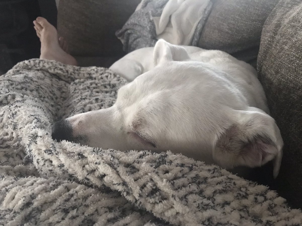 BlindedBite's tweet image. #currentstate #HarperEleanoreJosephine