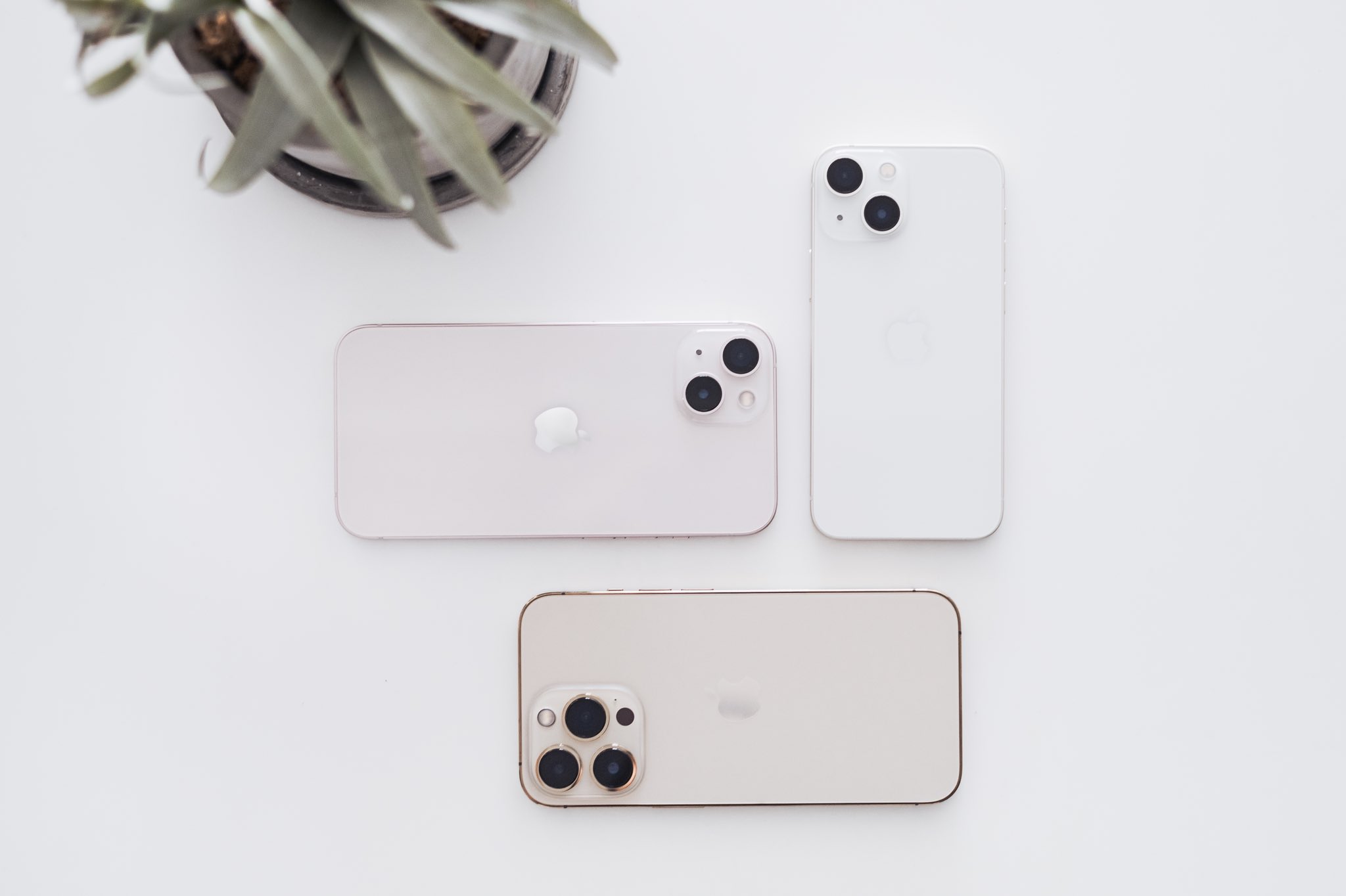 Nagisa Ichikawa 🧠 酔拳十段 в X: „#iPhone13mini スターライト