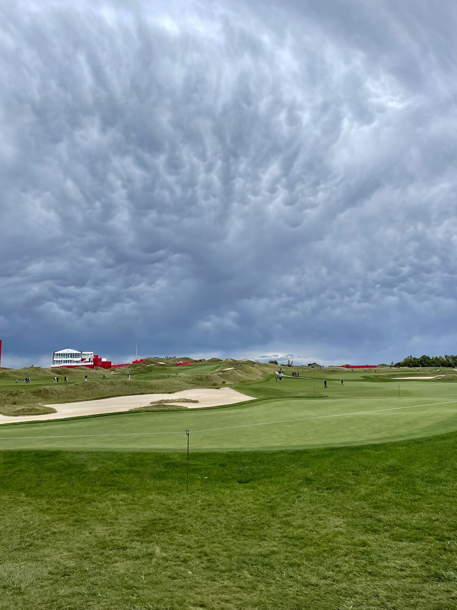 Gina D Rizzi tweet media