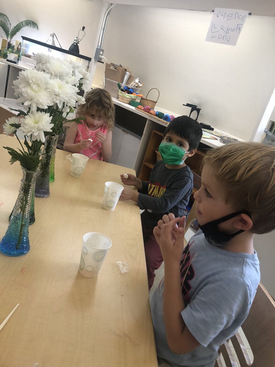 Teacher_AWebb's tweet photo. #FairyTaleScience experiment 2 underway! We read Princess and the Pea and learned about and tested our sensory neurons! The kids have been begging for a new project every day! One book won’t be enough @sarahalbee ❤️ See the comments for my favorite response! @odddotbooks https://t.co/PcOJXKgDyS