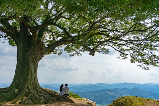 IUmushimushi's tweet photo. Impact of Jang Man Wol
https://t.co/GFHMdFBbqA

“It used to be a spot that only some hikers and photographers knew, but after filming ‘Hotel Del Luna’ two years ago, it became a national attraction,”. 
By August this year alone, about 45,000 people visited. https://t.co/058tBBo91U