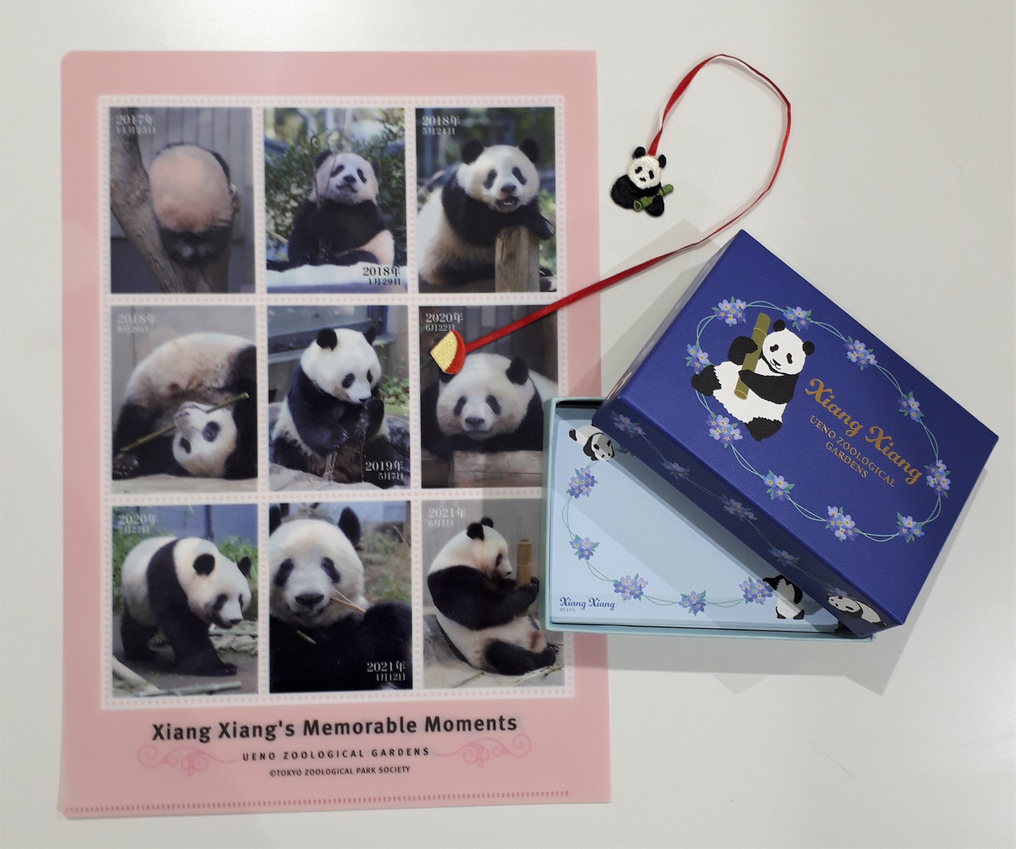 上野動物園［公式］ on X: 