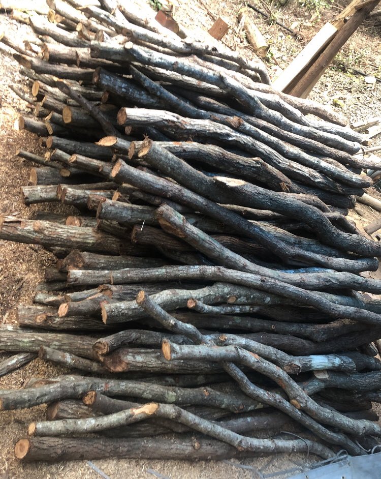 NOROSHIDANCE's tweet image. 最高級の紀州備長炭マイクロパウダーと最高級のCBDのバームがもう近々発売までこぎつけました🔥

紀州備長炭の殺菌作用とCBDの肌の回復の素晴らしさを期待して下さい🔥

特にアトピーや肌トラブルの方には是非です🔥

#紀州備長炭　#CBD #SWAGLAB #山歌製炭　#肌トラブル　＃アトピー　＃ニキビ　#汗疹