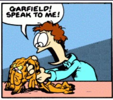 FoodJon's tweet image. real photo of garfield after throwing his food at jon every day instead of eating it