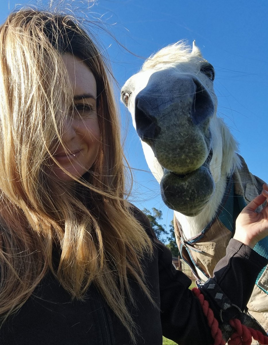 GemmaTognini's tweet photo. Trying to ride flatwork in a howling Easterly is stupid. So so stupid.
When will I learn? 
Teddy- 1
Gabby - 0
Also, please enjoy these pics of Edward De Smoochey being adorable.
#EquestrianTwitter https://t.co/wTbOCCaHJU