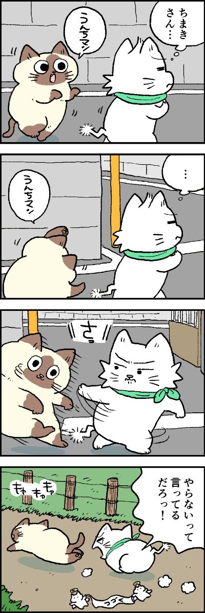 おじゃまむし│フェリシモ猫部 https://t.co/Usfl2Lm7Gg 