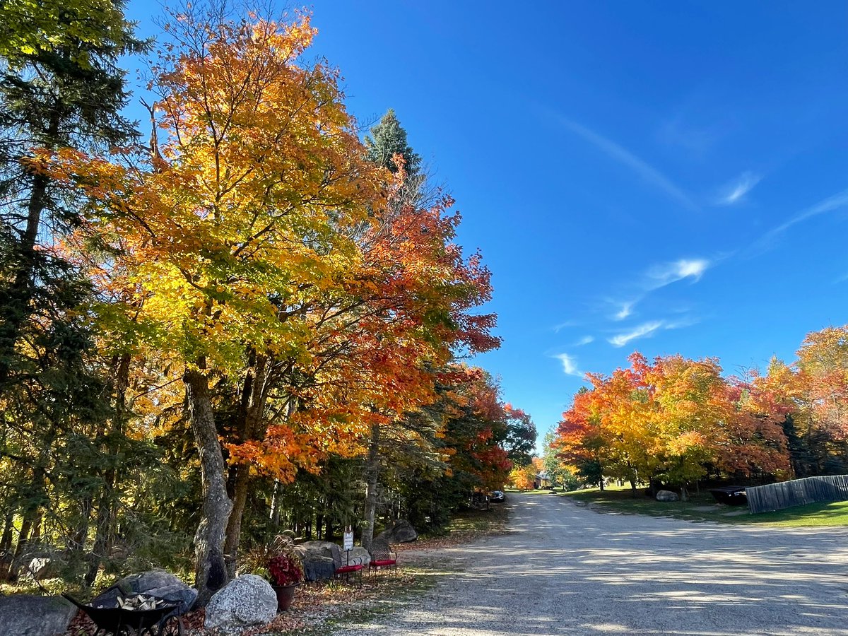 MaplelagResort's tweet photo. Fall colors peaking this week accentuated by the beautiful weather. https://t.co/vAnaXxl0ZH