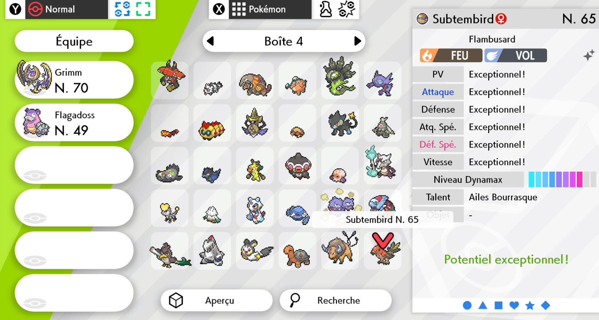 Notez le surnom incroyable et les quelques 6 IVs à 31. C'est quoi cette chance ce soir ? Entre les dingueries de la commu, le shiny qui tombe et la chance sur 1024 d'avoir 6 IV à 31 .... Allo ?