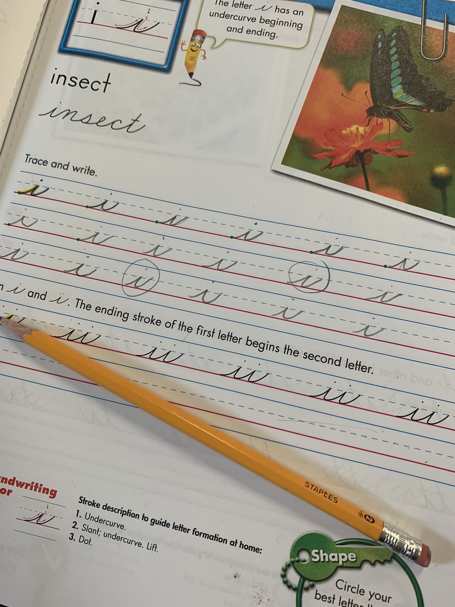 Hello3GLearners's tweet photo. What could be more exciting? Today we learned our first letter in cursive and the 3G kids asked for one more letter so we could write our first cursive word. Check out these two! Next up the kids will be making my anchor charts. https://t.co/FMIeyJe4VB