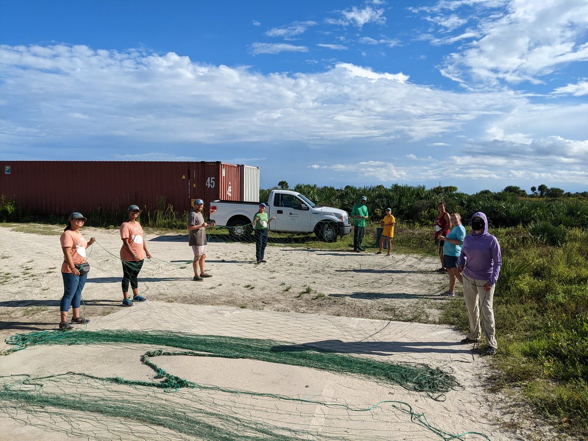 erin_seney's tweet image. After yesterday&apos;s #cownoseray encounter during #UCFTurtleLab sampling, we were left w/ a MESS of a net. We had a long &quot;team-building exercise&quot; later in the day to untangle it.  Always have to expect the unexpected with #fieldwork! Our crew are rockstars! 🤩 📸: E Seney, K Martin