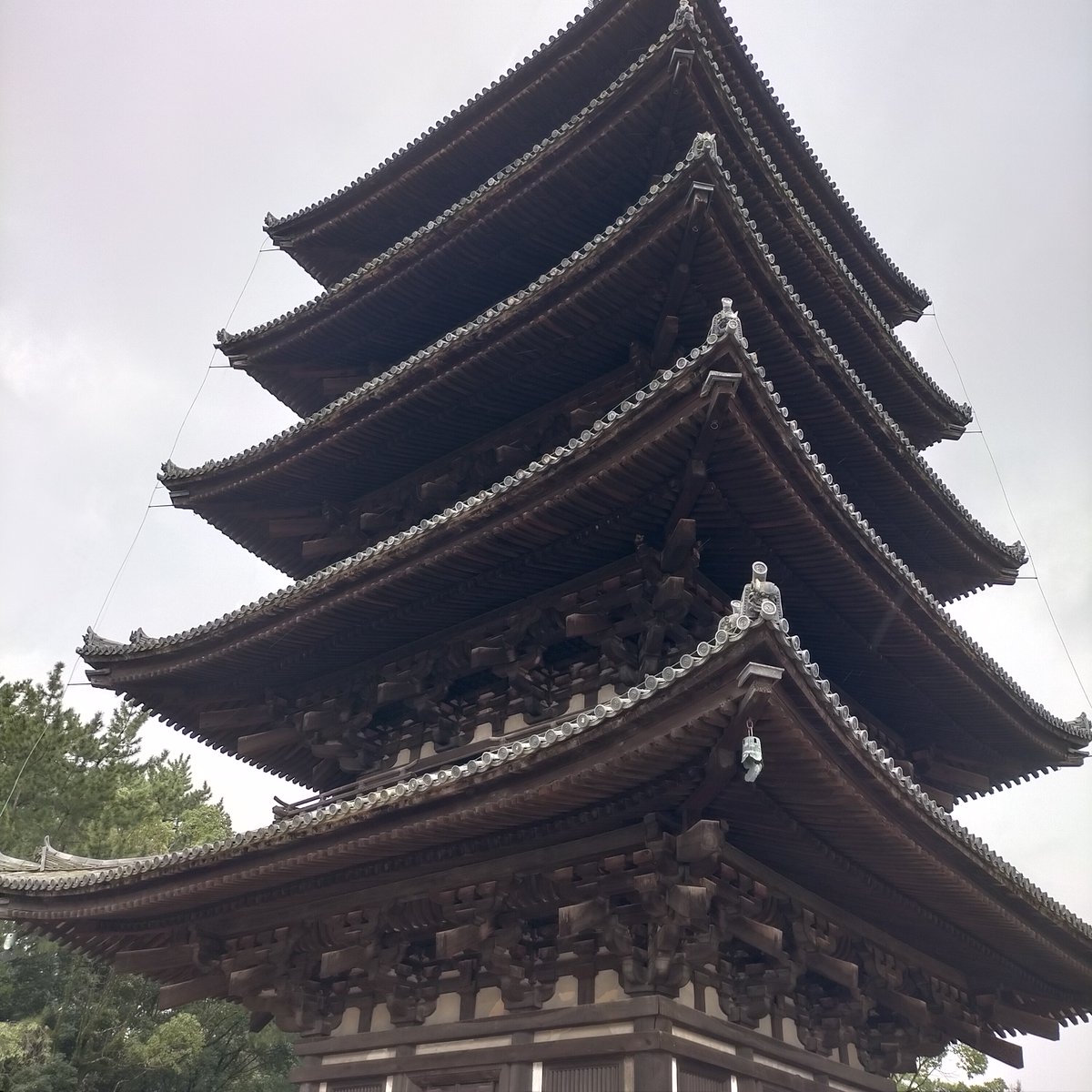 WorldNijiiro's tweet photo. Kofukuji at Nara park. It has been one of the most famous historical sites, in particular five-storied pagota, because it has built in 7th century. #Japan #japaneseculture #japanesefood #buddhisttemple https://t.co/MKsrR7k1dN