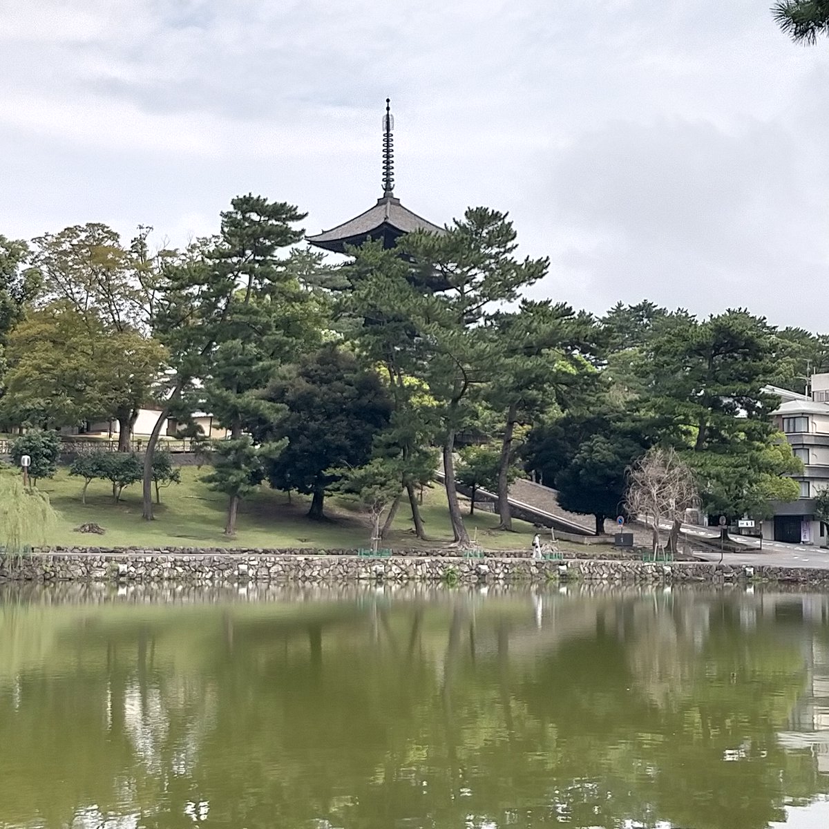 WorldNijiiro's tweet photo. Kofukuji at Nara park. It has been one of the most famous historical sites, in particular five-storied pagota, because it has built in 7th century. #Japan #japaneseculture #japanesefood #buddhisttemple https://t.co/MKsrR7k1dN