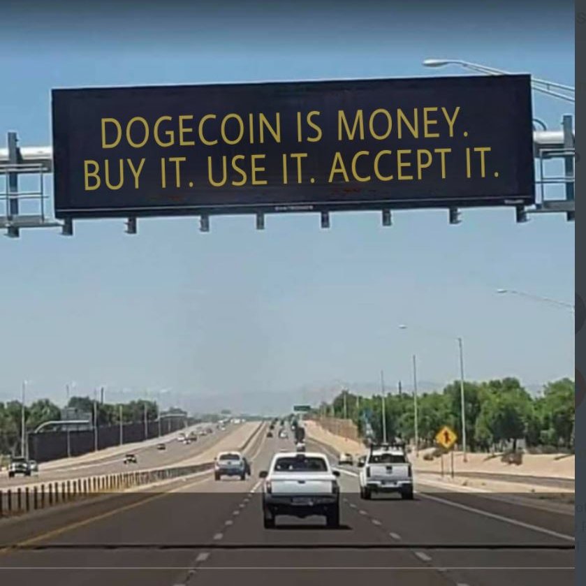 dogeQUAN tweet media