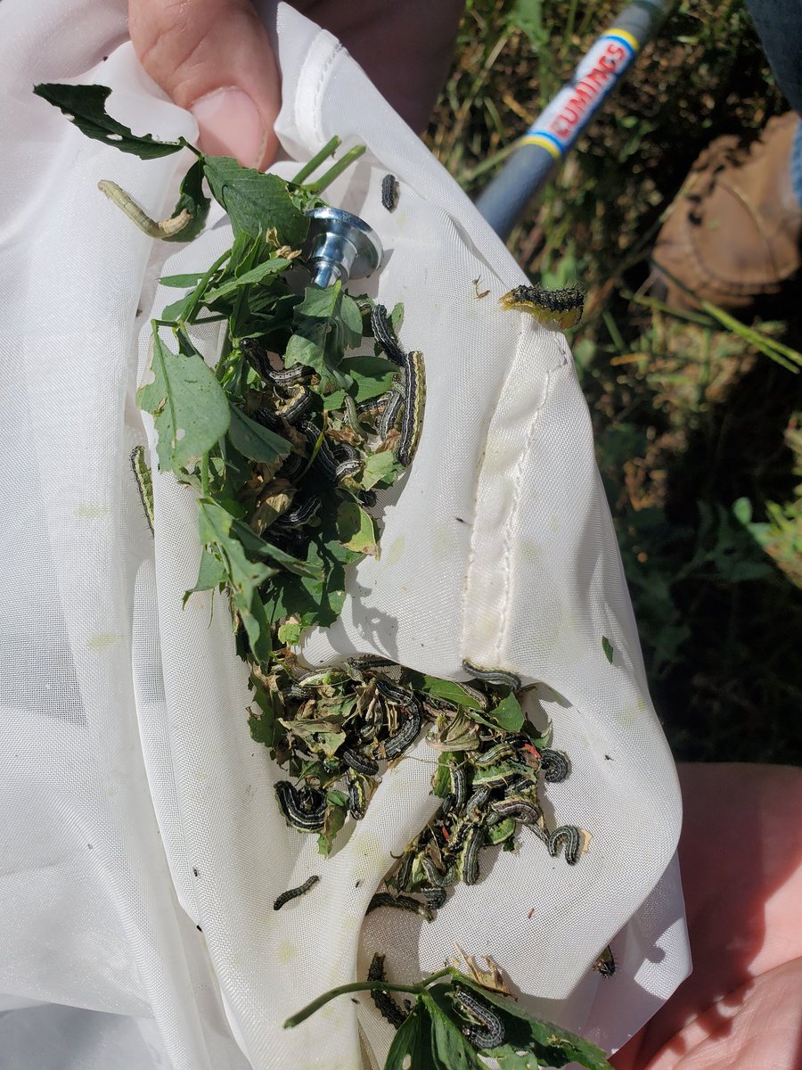 Ryan Beccard tweet media