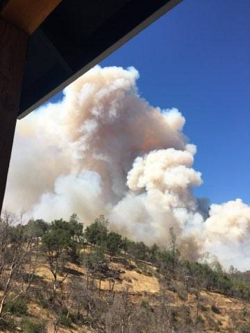 #FawnFire #smoke