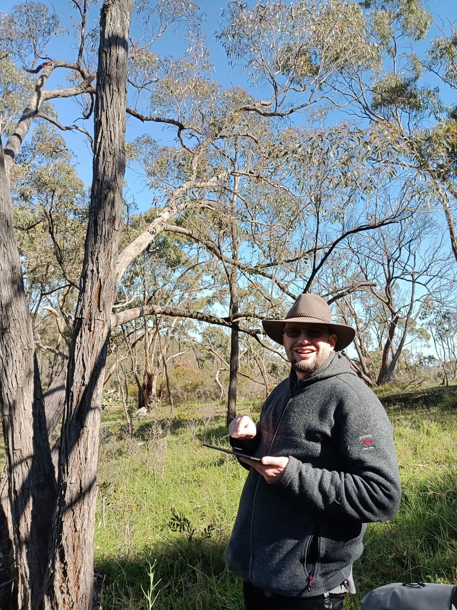GunnarKeppel's tweet photo. Investigating the #dieback of red #stringybark in Clare Valley. Udo Sarnow, Masters student @UniversitySA. Project in collaboration with Greg Guerin @UniAdelSciences and @SAEnvirWater https://t.co/b0tzXNhMCc