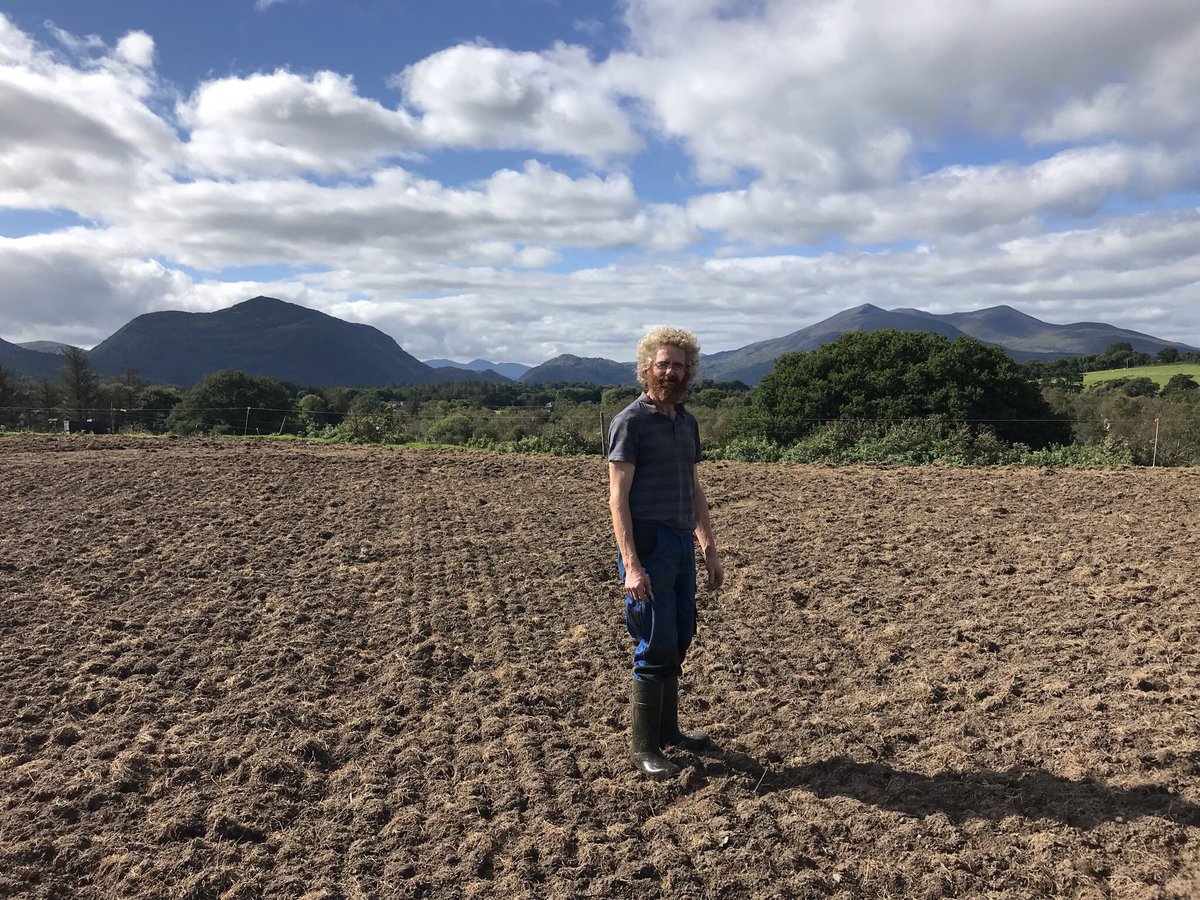 MuckrossC's tweet image. The general feedback on the reseeding is that everyone else seems to be finished and that I should have done it 3-4 weeks ago. Anyone else reseeding this late in the year? #timemanagementgoals
