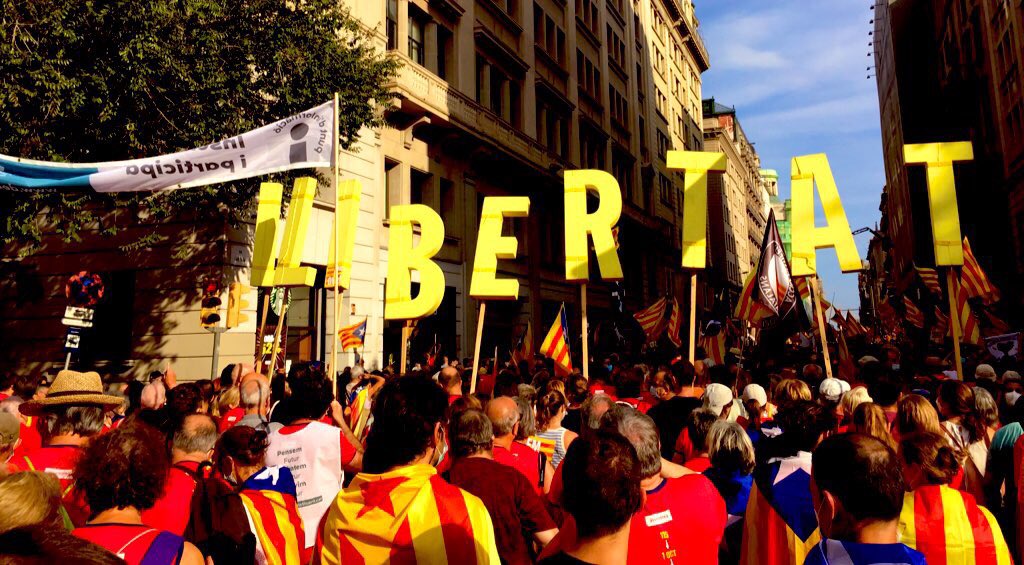 FreeRomeva 🎗 tweet media