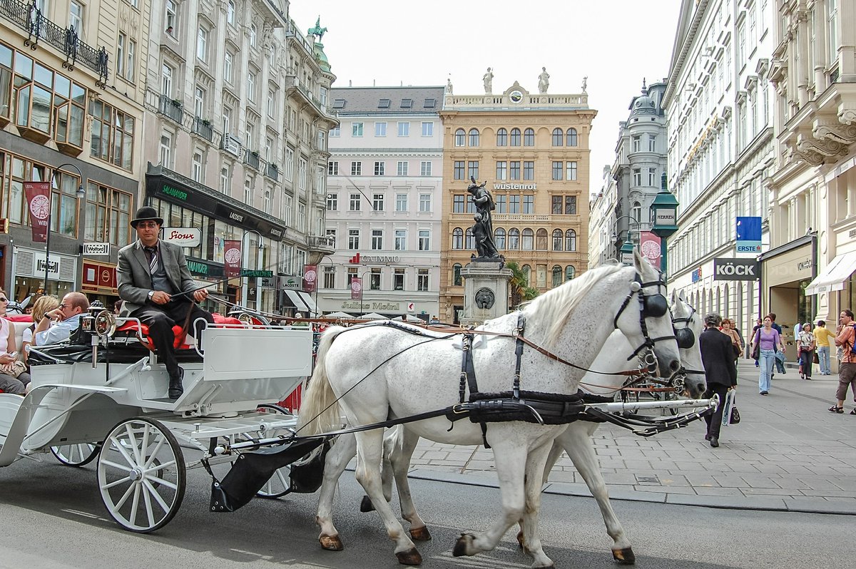 sheriannekay's tweet photo. Things to do in Vienna Austria to plan your itinerary: classical music, palaces, museums, churches, opera, coffee culture, and wineries and more https://t.co/ftzhfx3kqL via @sheriannekay #ViennaGoForIt #ViennaAustria #visitaustria https://t.co/Hboolp13zV
