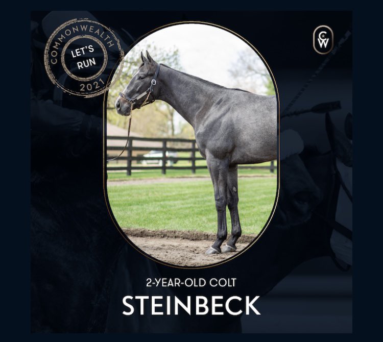 SarahHorsegirl's tweet photo. I am excited to share the news that I have joined @joincmnwlth @WinStarFarm meet my boy Steinbeck ( Frosted- Nickel) Todd Pletcher is his trainer #MyBoy #Commonwealth #WinstarFarm https://t.co/kzX2QBFA1t