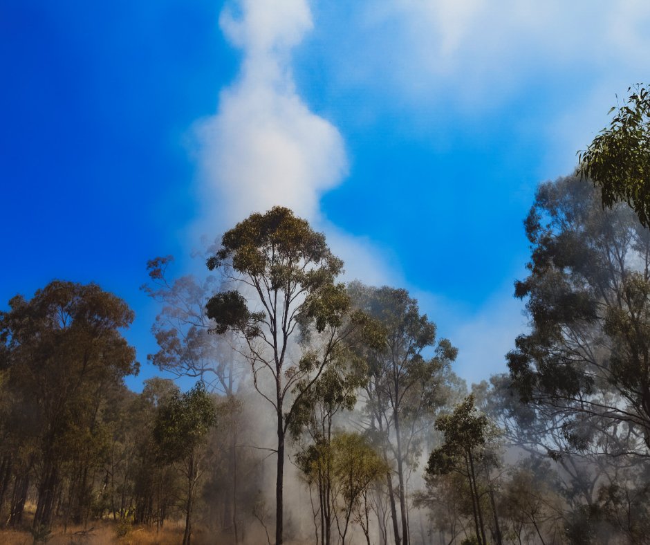 SQLandscapes's tweet photo. FIRE MANAGEMENT 🔥// SQ Landscapes has been working with Githabul Fire Practitioners, FIRE LORE to implement #CoolBurns in the Maryvale region as part of its bushfire mitigation and improved vegetation plan. #CoolBurning https://t.co/ZoDCjEexnP