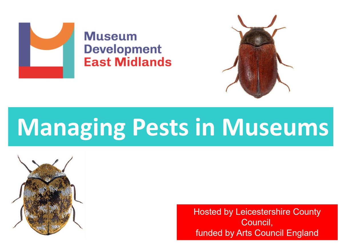 chcoooooo's tweet image. Attended the online training session ‘Managing Pests in Museums’ by @MusDevEM on managing insects and pests at museums through prevention, monitoring, identification, and treatment. @LeicsCountyHall @ace_national 
#museums #museumdevelopment #collectionsmanagement #pestmanagement