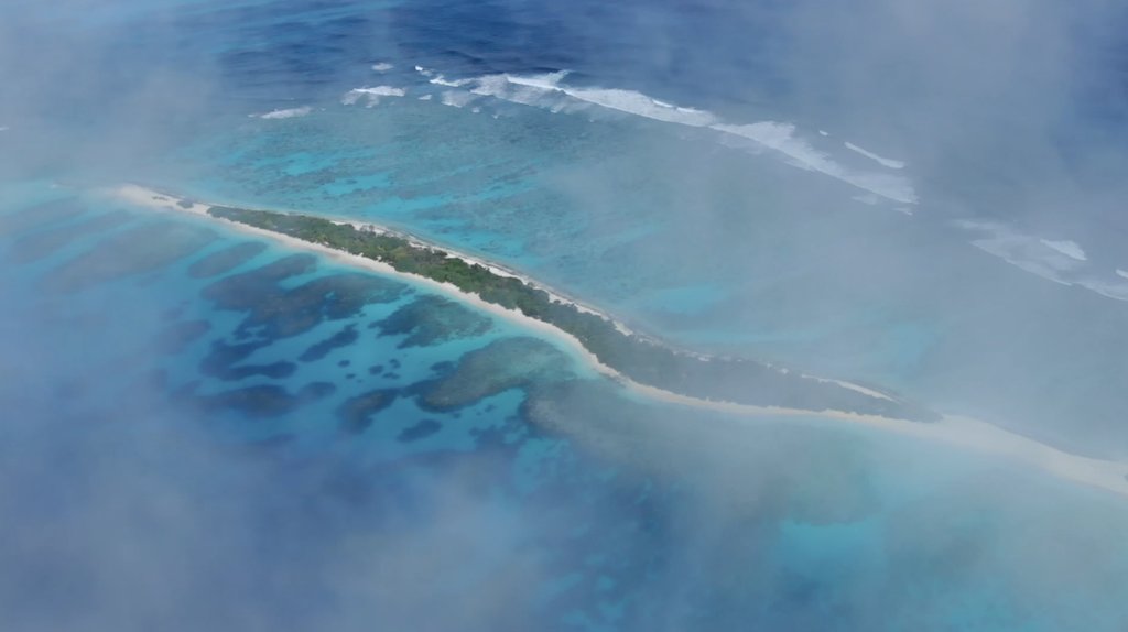 #UNFSS2021 <a href="/FoodSystems/">UN Food Systems Coordination Hub</a> 

🎞Discover the specificities of #FoodSystems in the #Pacific region, why they are particularly fragile, and the role of the island communities in protecting them.
🌱🐟#FoodSystems4SDGs <a href="/IFAD/">International Fund for Agricultural Development</a>

▶ Watch bit.ly/2XAye4F