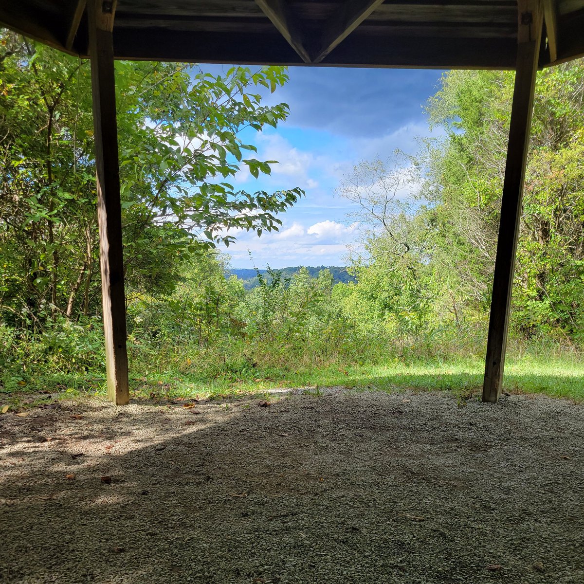 BillyChace's tweet image. #NewProfilePic