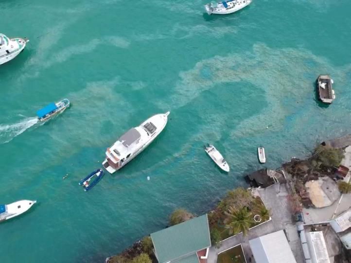 BitacoraEc's tweet photo. En la mañana de hoy hubo un derrame de #diesel en Pelikan Bay en Puerto Ayora isla #SantaCruz #Galapagos
La mancha del combustible se distribuyó por el agua hacia #PuntaEstrada
@parquegalapagos @Ambiente_Ec pueden por favor informar sobre el impacto y la mitigación realizada? https://t.co/HMf8SGneuP
