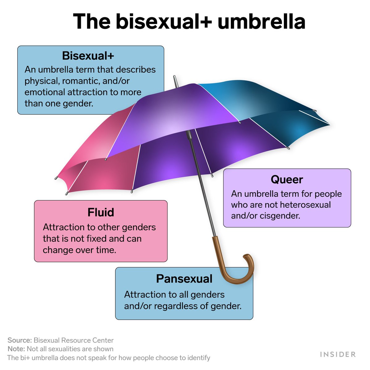 Umbrella Term vs. Hypernym, Category, and Superordinate Term