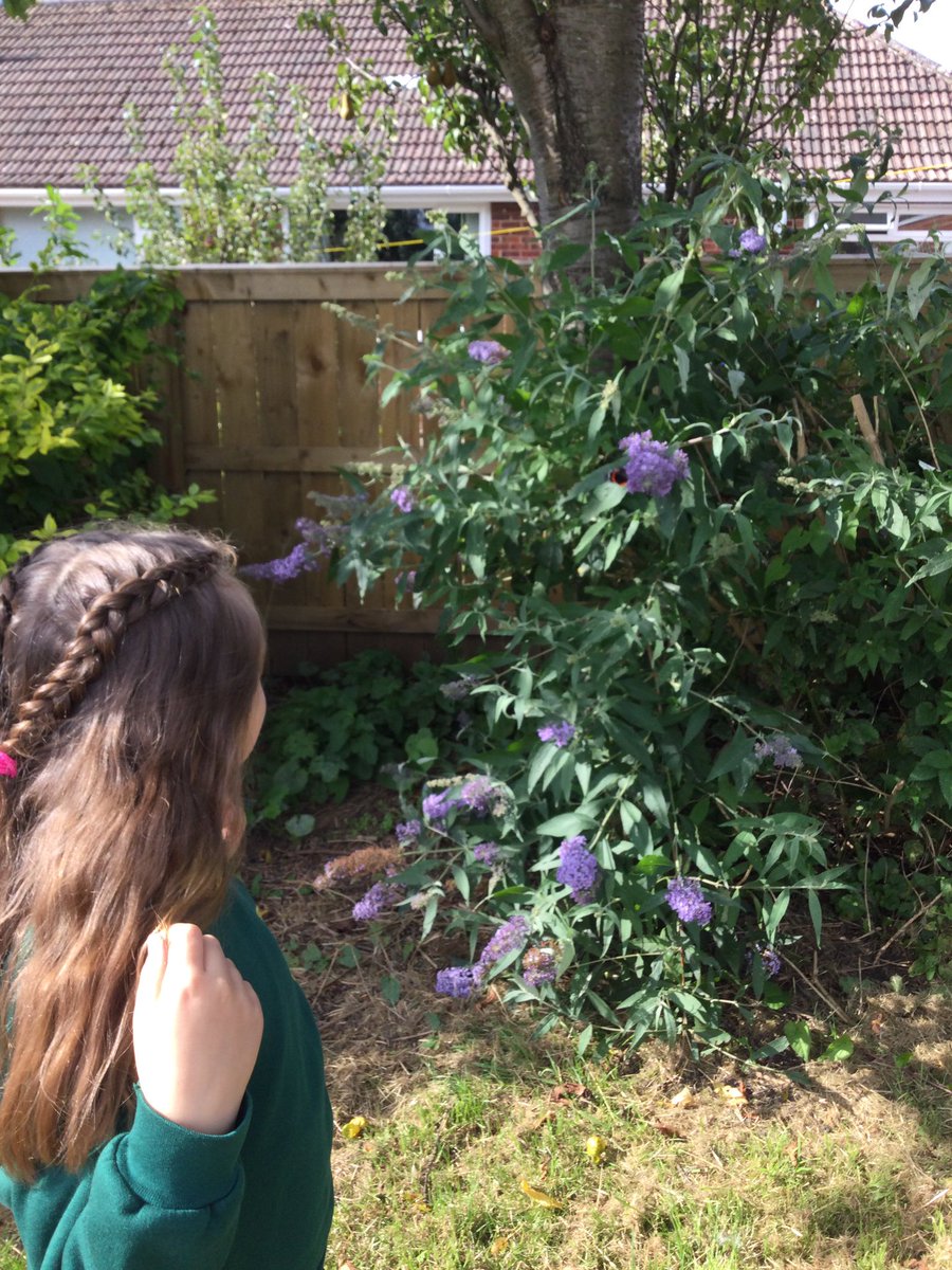 burlingtonjnr's tweet image. Enjoying nature today @NatureFSchools @YorksWildlife @WildMaths @Psqm_HQ #picnic #butterflies #naturemap #weatherstation