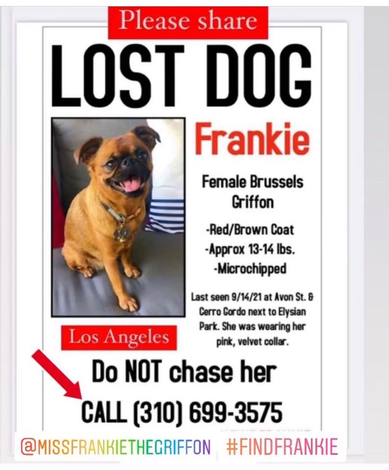 Please RT #findfrankie