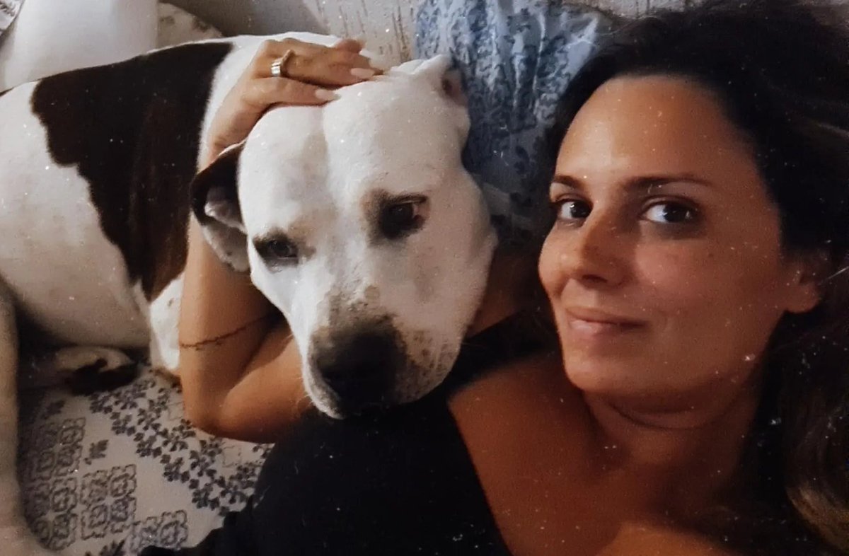 Angelaimcampos's tweet photo. Boa noite! Basta o papai sair que alguém pula para o colinho da mamãe... ❤🐶 #itmalia #doguinho @itimaliasof https://t.co/RkTERLMbgX