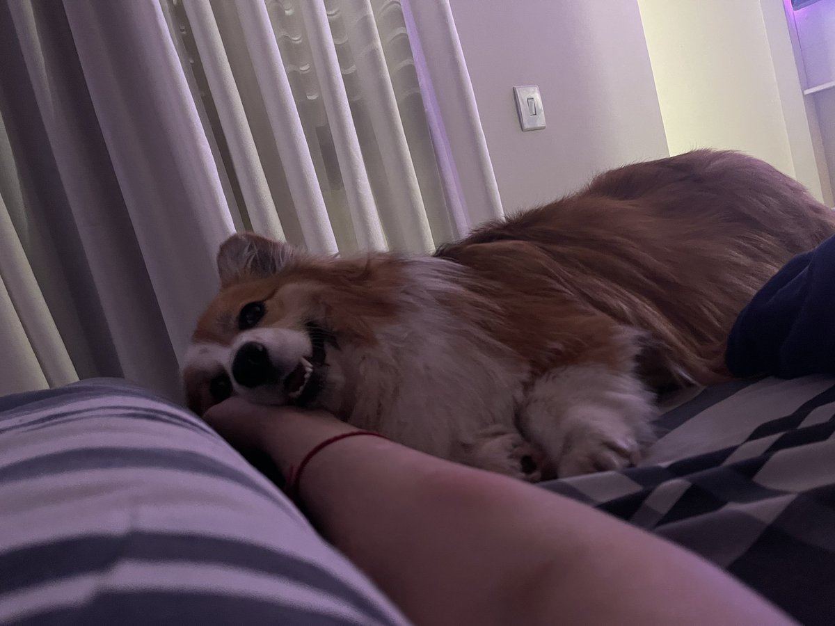 “A VACINA SALVOU MINHA VIDA” - É um fato pessoal, só em ter a primeira dose os sintomas não avançaram e meu estado clinico estabilizou e agora é fazer o tratamento em casa. Obrigado a todos os profissionais da saude e aqueles que torceram por mim para hj voltar pra minha casinha