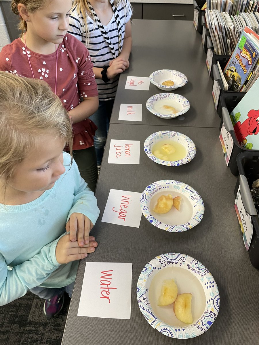 waglerLES_1st's tweet image. Apple Science - what liquid would keep our apple slice from browning? 🍎 🍏 #STEM #STEAM #applescience #apple #firstgrade #scientists