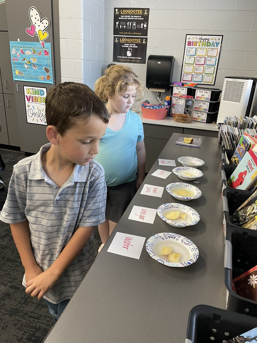 waglerLES_1st's tweet image. Apple Science - what liquid would keep our apple slice from browning? 🍎 🍏 #STEM #STEAM #applescience #apple #firstgrade #scientists