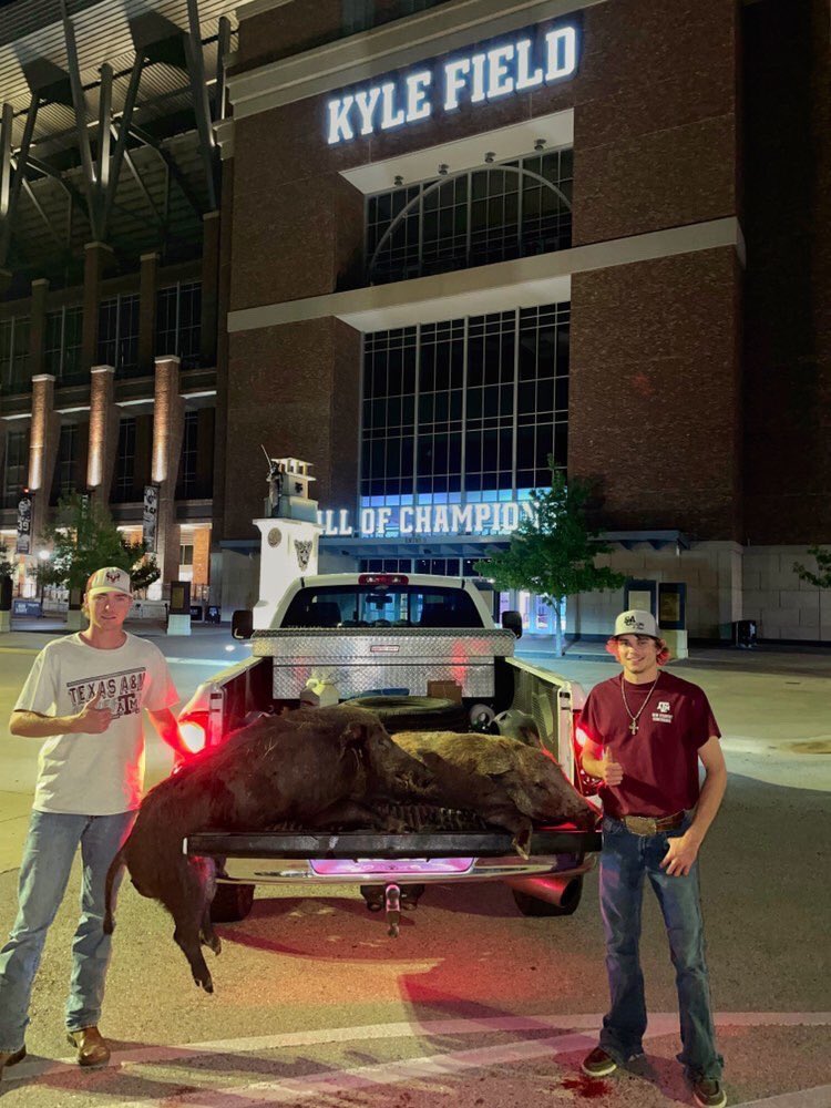 Old Row Texas A&M tweet media