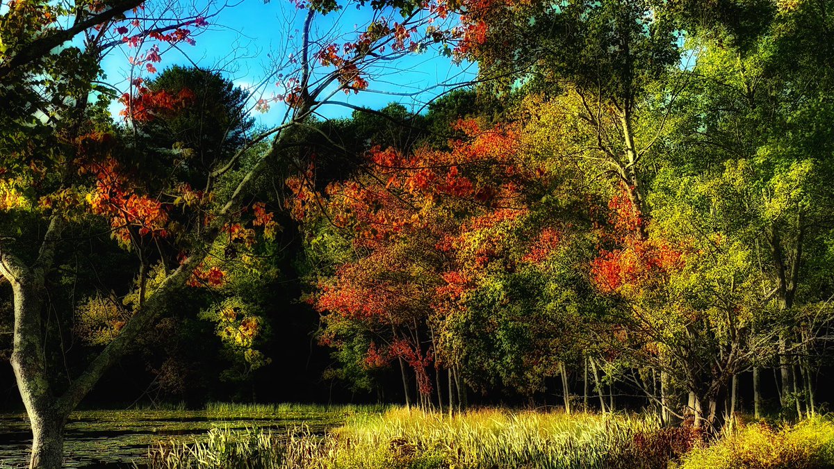 CaptBilboTweets's tweet image. @StormHour #FallCorors #Rainbow #FirstFullDayOfFall #BeautifulSeptemberDay #RhodeIsland