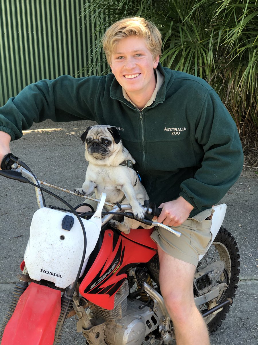 TerriIrwin's tweet image. Stella likes to pretend that she’s a pug on the open road with the wind in her hair…while she’s actually parked in the driveway…