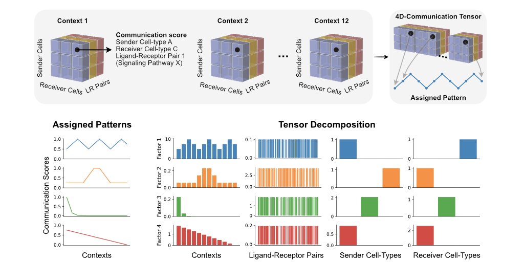 Erick Armingol (@eagut) on Twitter photo We are excited to present Tensor-cell2cell! The first tool to study changes of cell-cell communication across multiple cellular contexts. We applied it to deconvolve communication dynamics across COVID-19 severities and find key cells and signals involved biorxiv.org/content/10.110… We are excited to present Tensor-cell2cell! The first tool to study changes of cell-cell communication across multiple cellular contexts. We applied it to deconvolve communication dynamics across COVID-19 severities and find key cells and signals involved biorxiv.org/content/10.110…