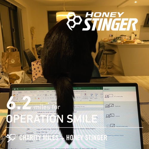 LatersBabyUK's tweet photo. #FiftyFans I double bubbled zumba’d 6.2 @CharityMiles for @operationsmile. Thanks @HoneyStinger! #SweetenTheBurn #HiveFive #helpfulkitty 🐈⬛ https://t.co/b2pdboUXoA